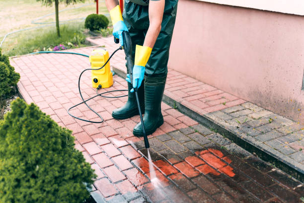 Best Roof Power Washing Services  in Mount Jackson, VA