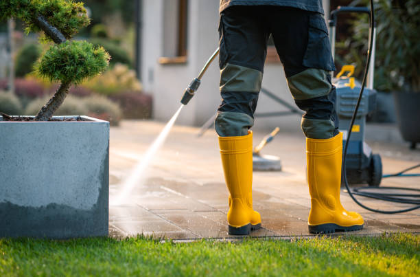 Pressure Washing Services for Businesses in Mount Jackson, VA